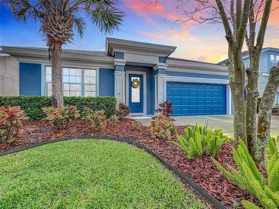 6407 Seasound Dr, Apollo Beach, FL, 33572