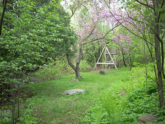 Backyard with treehouse