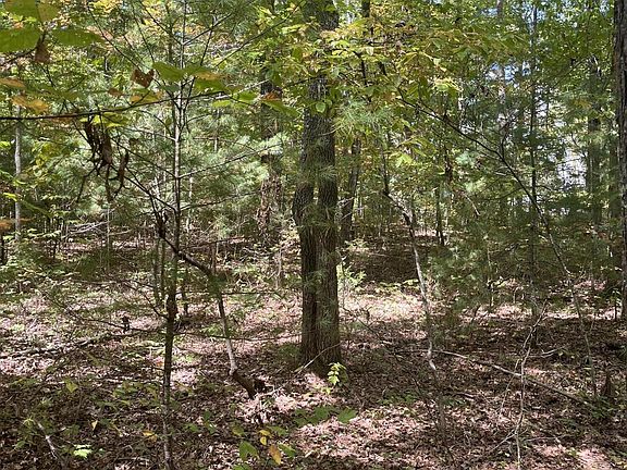 3rd image of 589 Barney Creek Rd