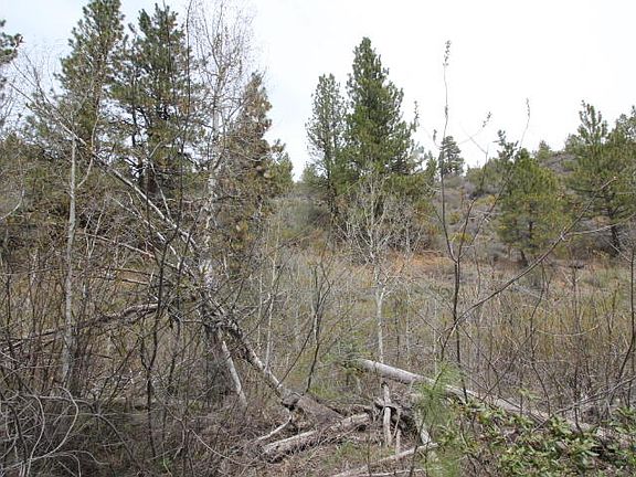 5th image of White Tail Ln Lot 19