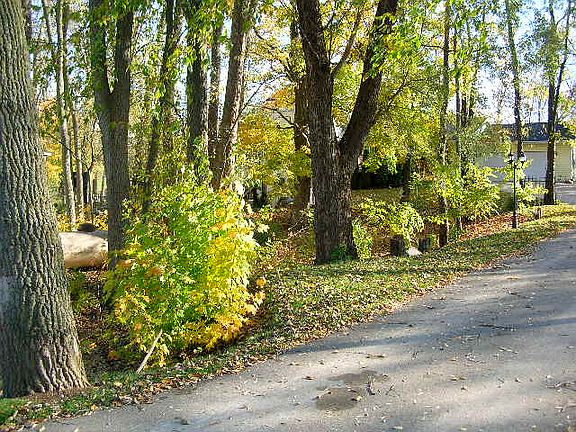 Front of the house in autumn