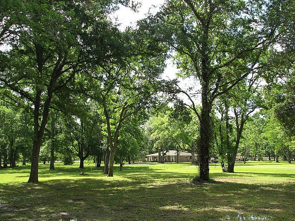 THIS IS THE VIEW FROM THE HOME SITE TOWARDS THE STREET LOOK AT THESE BEAUTIFUL TREES! LOTS OF PECAN AND OAK.