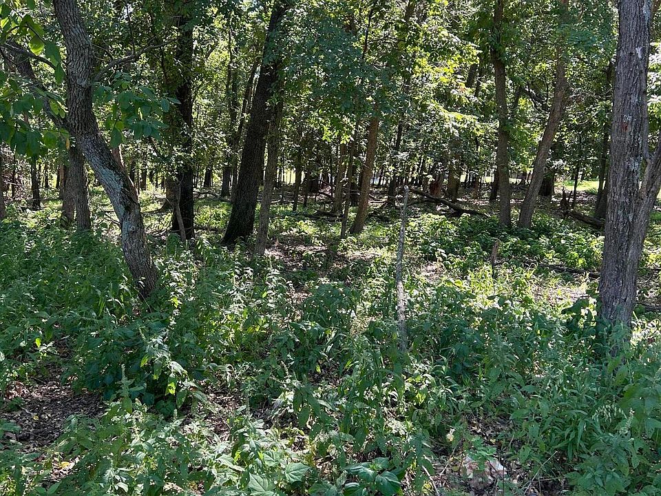 2nd image of Blue Grouse Pl