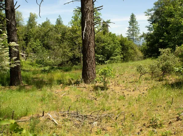 11092 Smith Station Rd, Coulterville, CA 95311