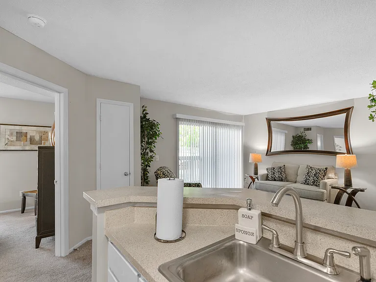 Oasis at Regal Oaks — Photo 16