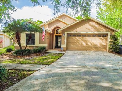 15454 Osprey Glen Dr, Lithia, FL, 33547