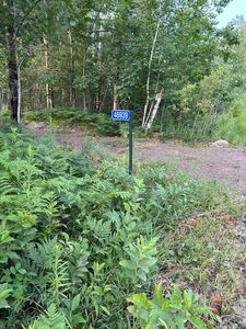 48939 Starch Rd, Bruno, MN, 55712