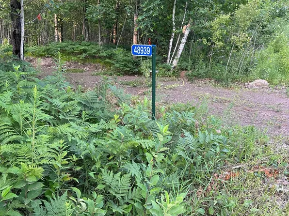 48939 Starch Rd, Bruno, MN 55712