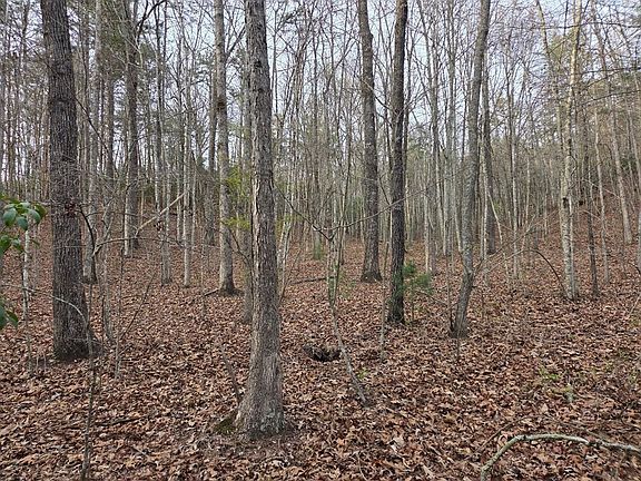 4th image of LOT 53 Calvender Rd