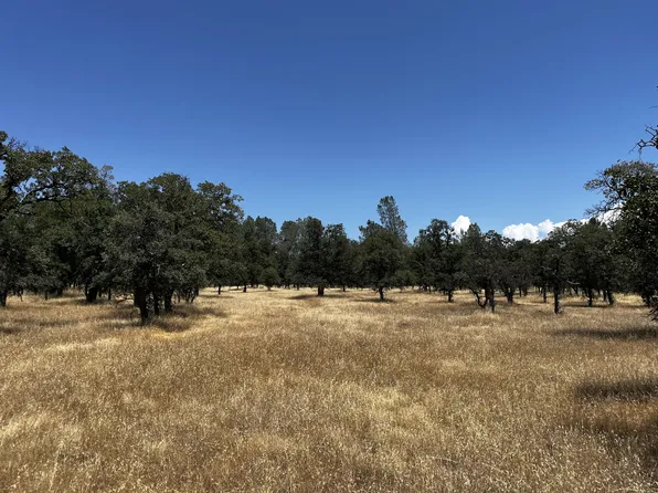 Wilson Hill Rd, Manton, CA 96059