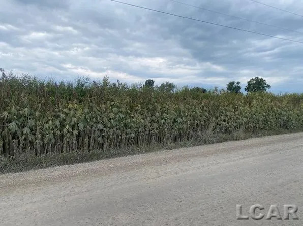 0 McCullum Rd, Manchester, MI 48158
