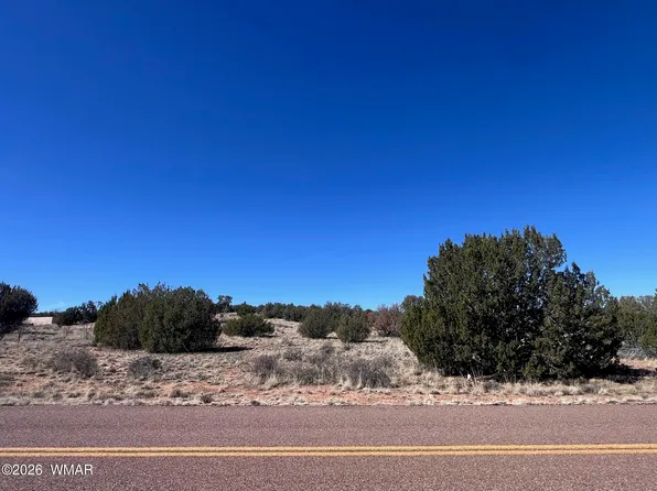 3920 S Freeman Hollow Rd, Snowflake, AZ 85937