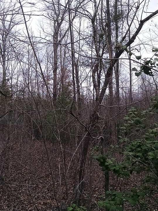 2nd image of Chaparral Ct