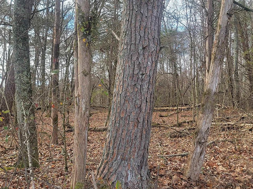 1st image of 311 County Road 276