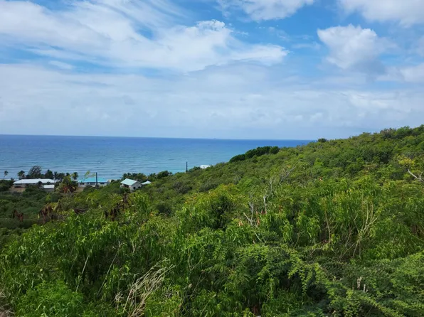 69 South Grapetree EB, St. Croix, VI 00820
