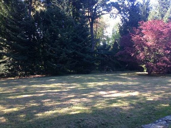 Backyard Oct 1, 2014