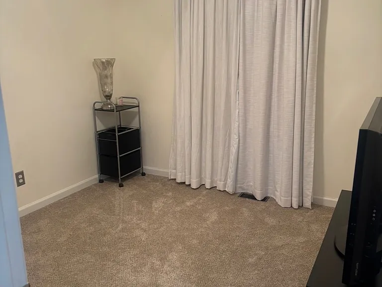 428 Springwood Place Ct — Photo 18