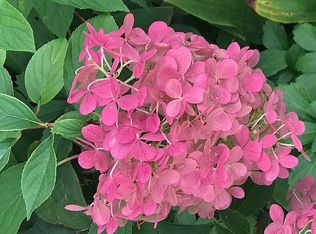 118 Maple Rd, East Aurora, NY 14052