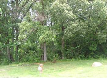 1st image of 404 Carriage Ct