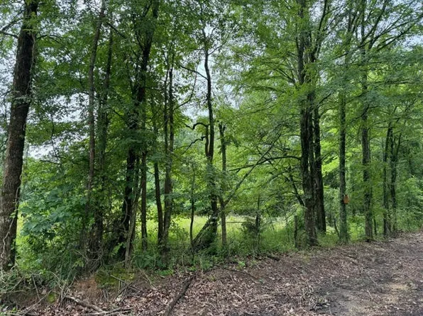 0 Caldwell Rd, Puryear, TN 38251