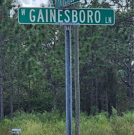4th image of 1604 W Gainsboro Ln