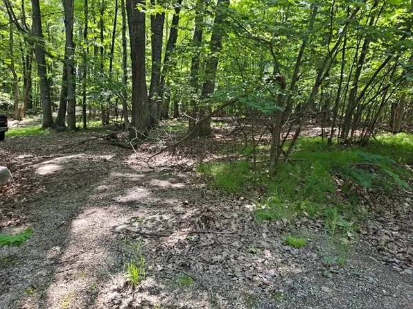 2145 Elkhorn Way, Farwell, MI 48622