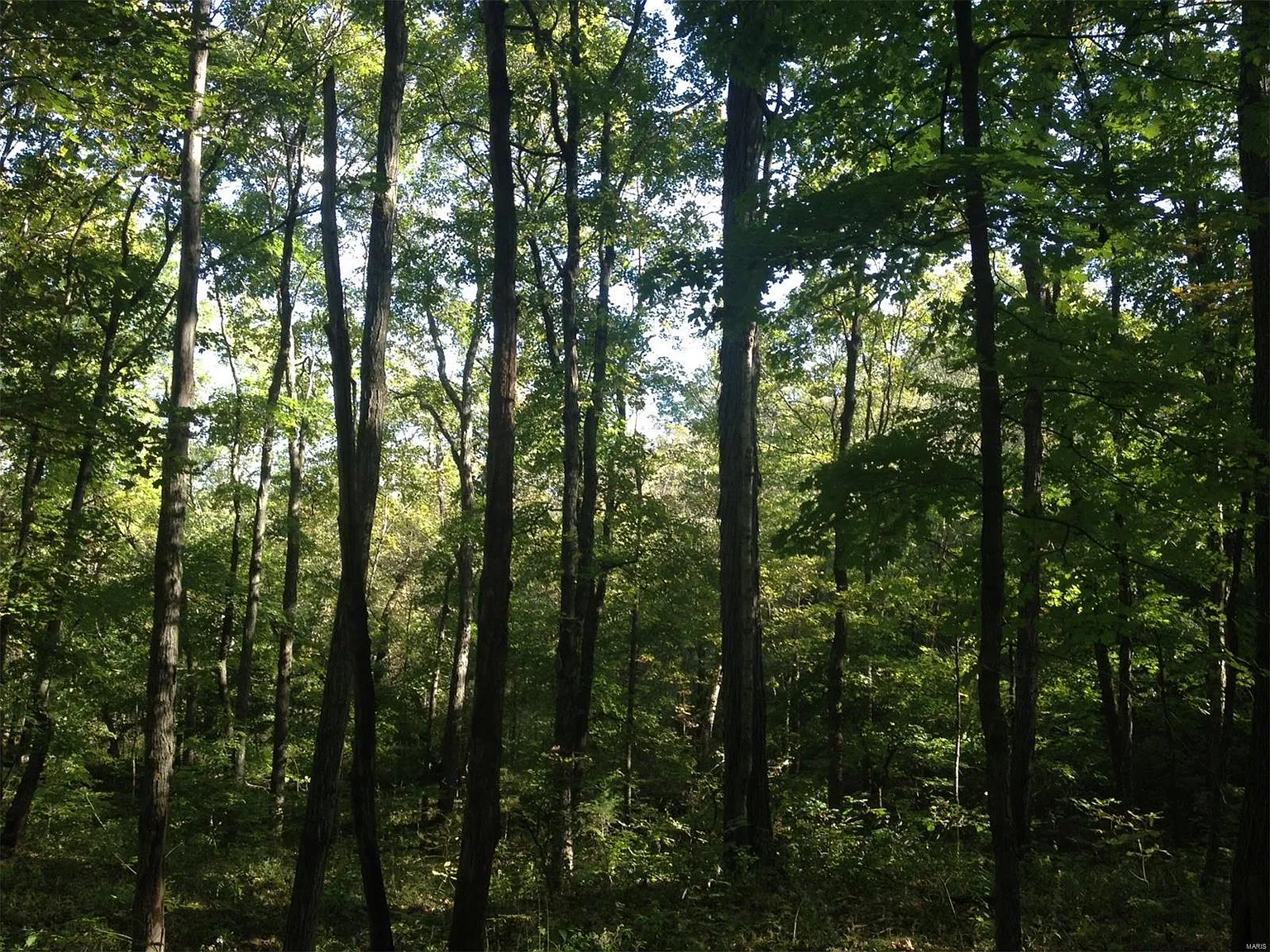 10 Wilderness Ln photo 1