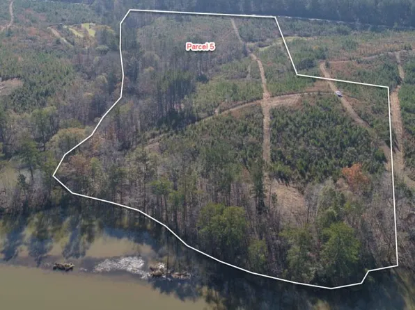 Township Road 5 Mountain Dr, Hamilton, GA 31811