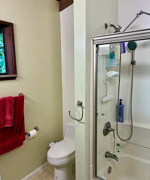 Master Bath toilet with bidet accessory Shower with Rain Shower head and long sprayer extension