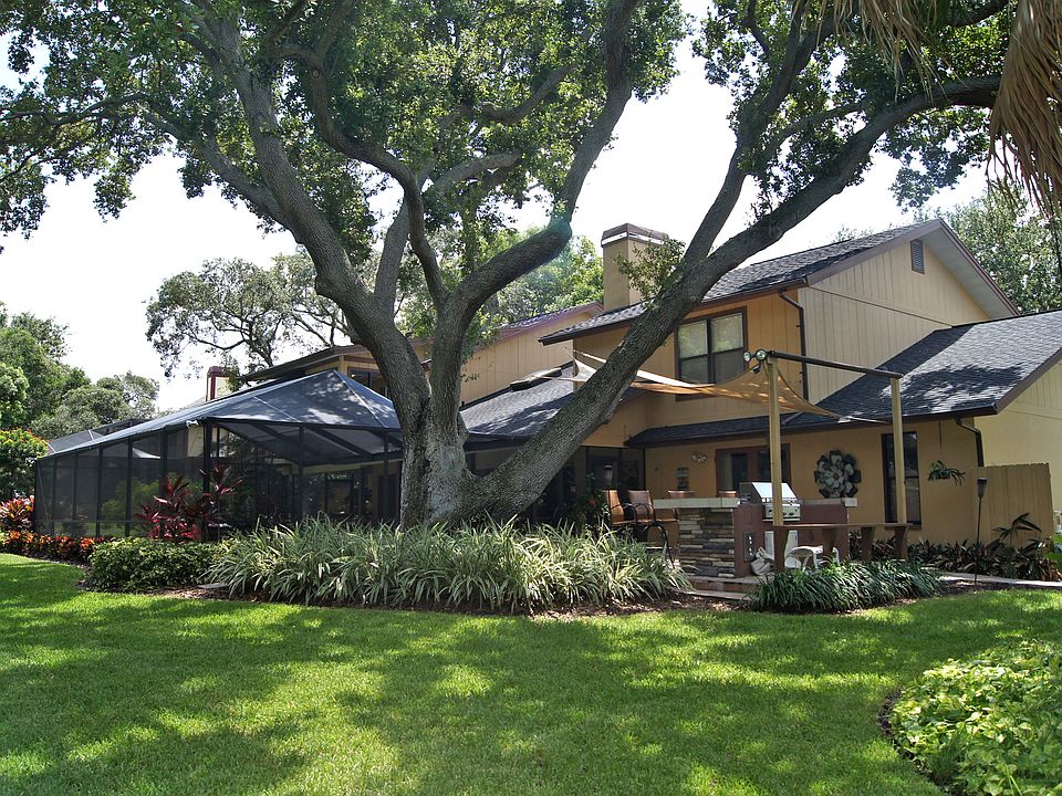 Backyard NW corner