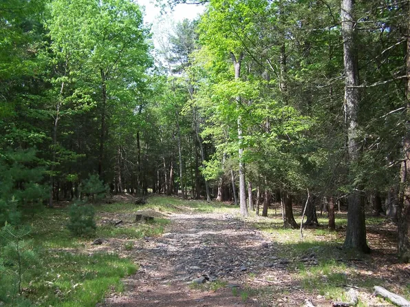 Lot 2 White Pine, Saugerties, NY 12477