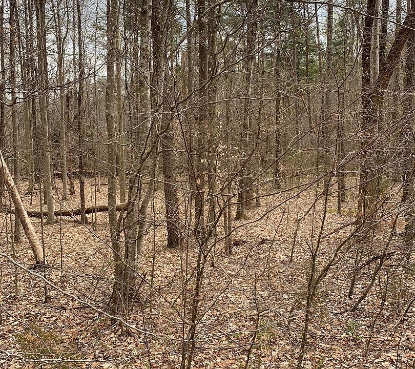 2nd image of 7205 Old Dickersons Rd