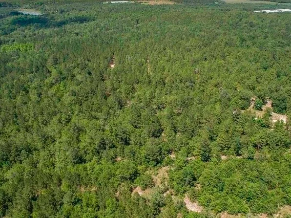 477 Thor Rd, Pelion, SC 29123