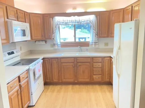 1228 Lincoln Ave, Saint Paul Park, MN 55071