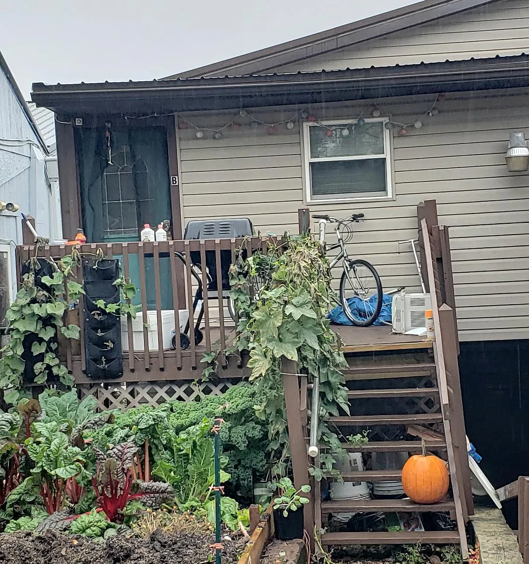 2 bed, 1000 sqft, $800 — Photo 1
