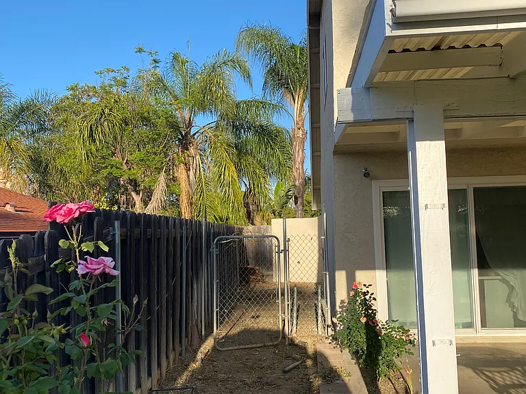 1604 Avenida Del Vis — Photo 23