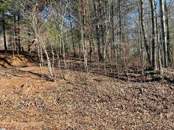 238 Elizabeth Ln, Travelers Rest, SC 29690