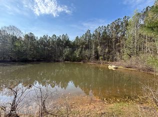 2893 Truesdale Rd, Carthage, MS 39051