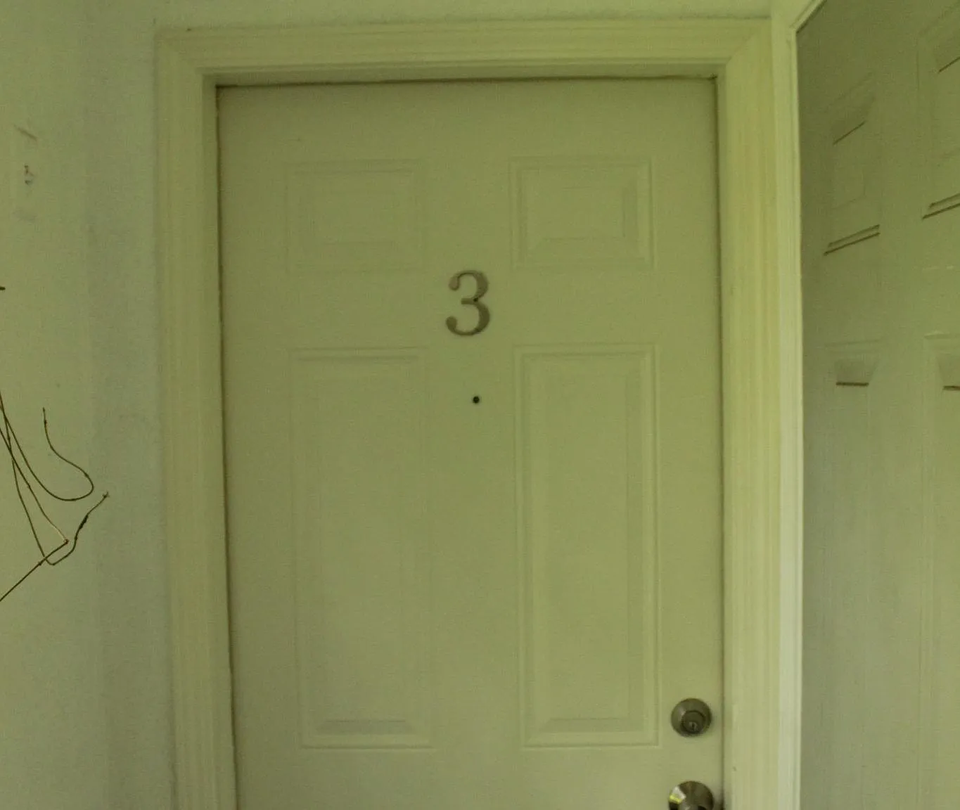 2 bed, 900 sqft, $1,195 — Photo 2