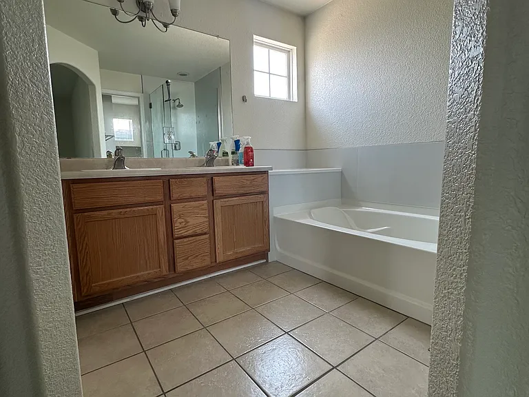 Primary Bathroom: Toilet to the Left (not seen)
