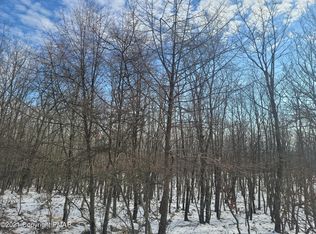 Scenic Dr, Effort, PA