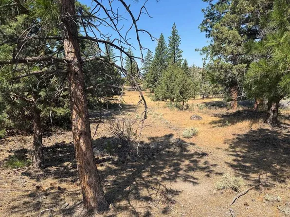 4 Lake Shore Dr Lot 20, Weed, CA 96094
