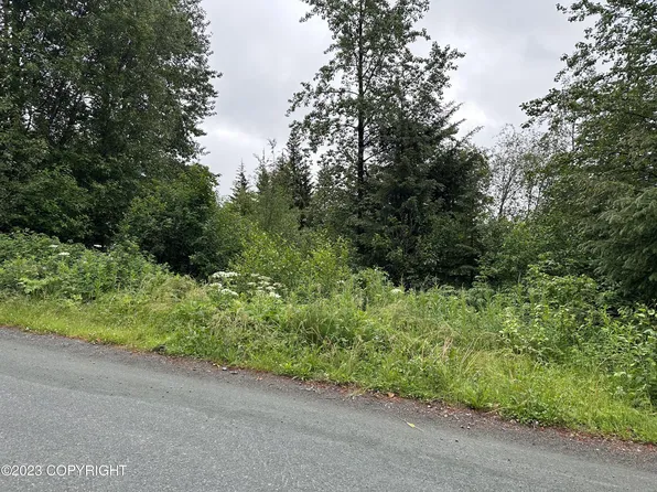 Nhn Unnamed Rd, Haines, AK 99827
