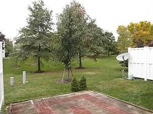 5th image of 245 Rooney Ct
