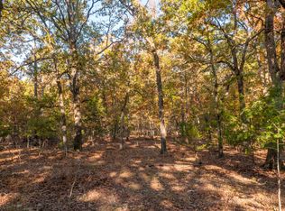 25 Blue Lake Dr, Protem, MO 65733