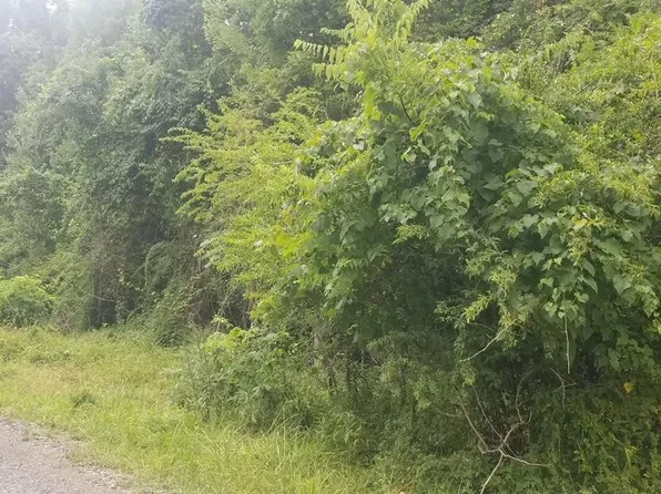0 Ridgevale Ln, Dayton, TN 37321