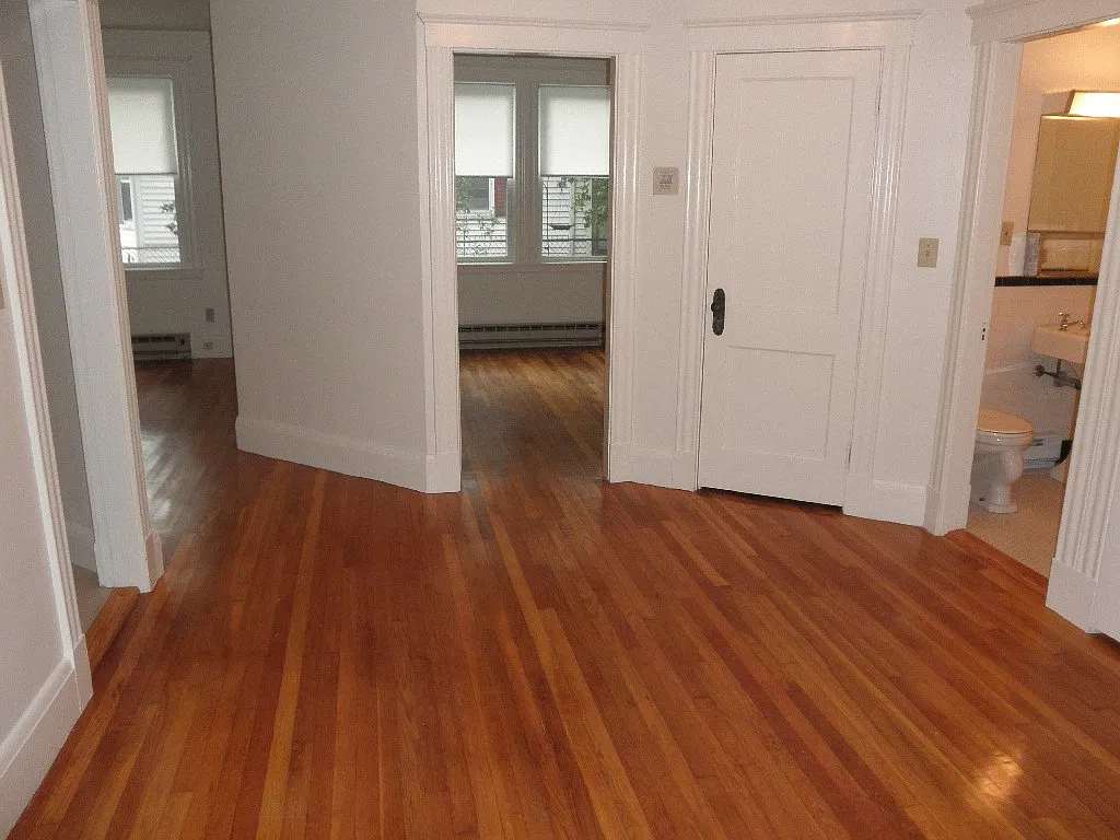 1 bed, 700 sqft, $1,895 — Photo 2