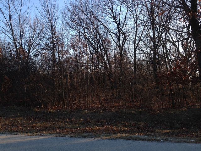 2nd image of 1365 Gordon Ln
