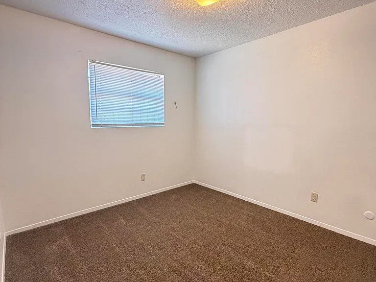 3911 Moonlight Ave — Photo 18