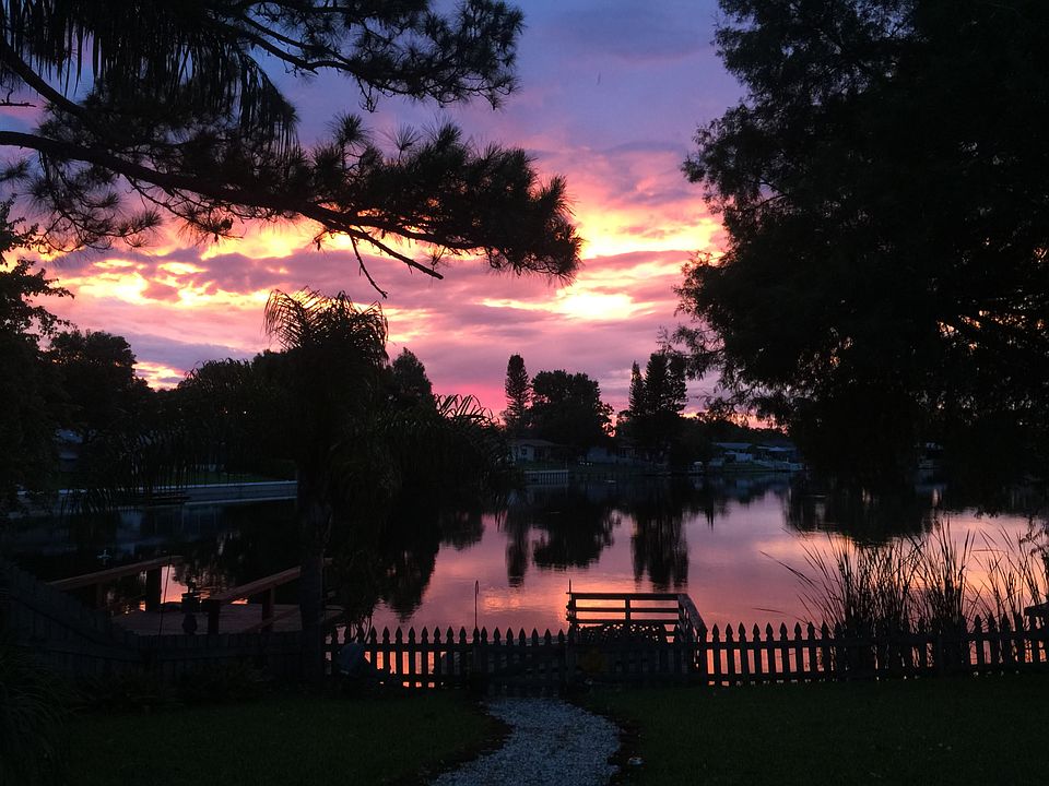 Backyard at sunset